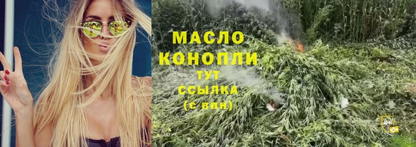 стаф Арсеньев