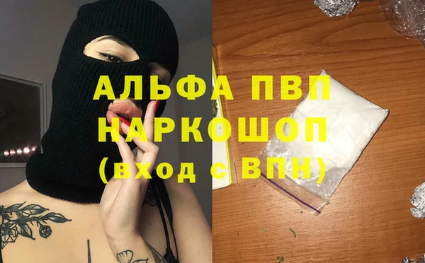 стаф Арсеньев