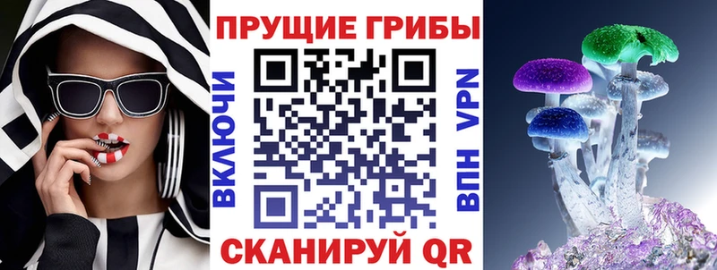 KRAKEN маркетплейс Межгорье Псилоцибиновые грибы мицелий
